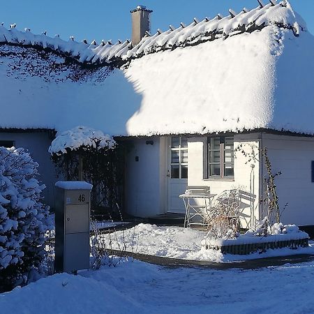 The Whispering Apple Garden Retreat Appartement Morud Buitenkant foto