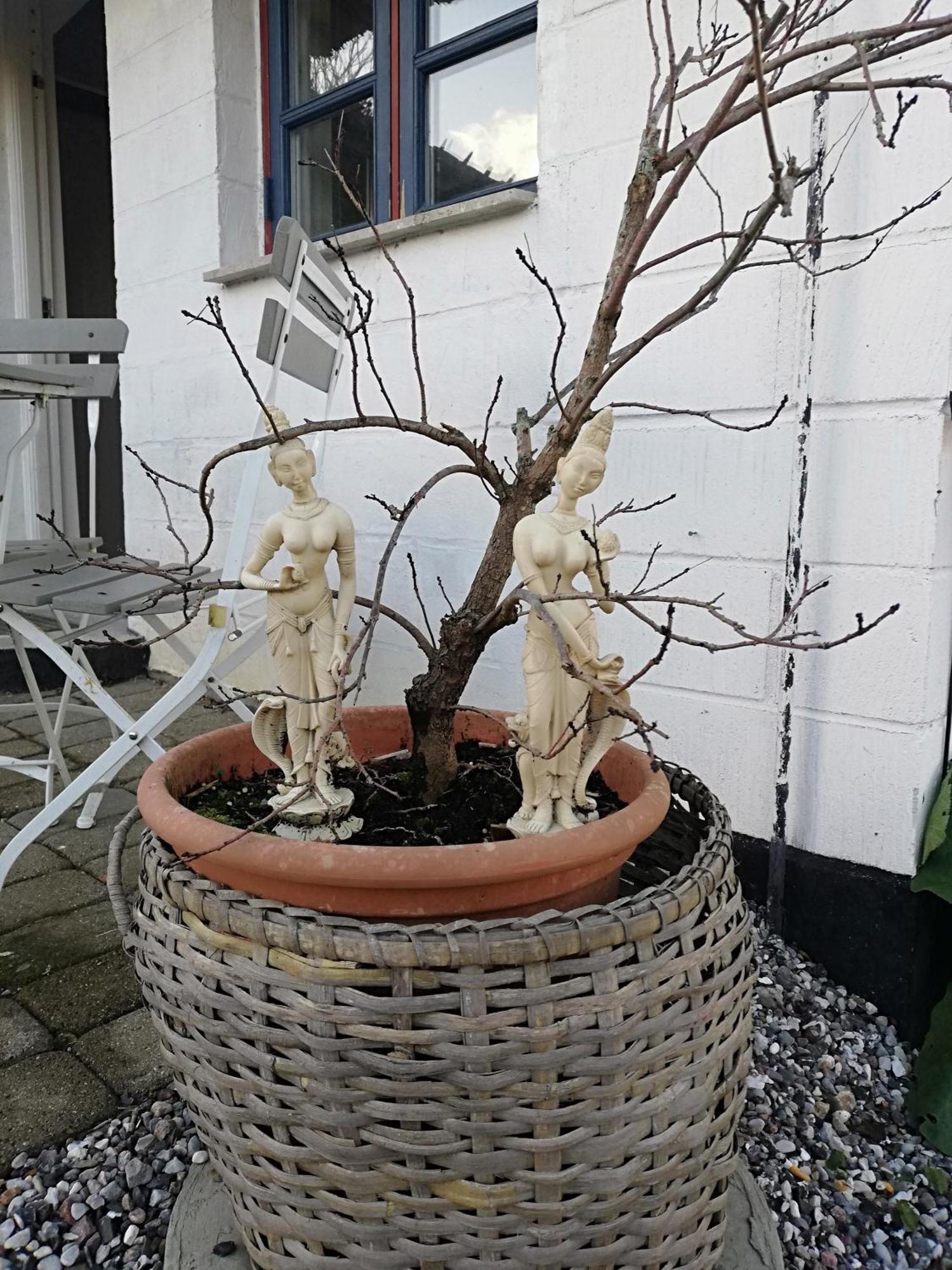 The Whispering Apple Garden Retreat Appartement Morud Buitenkant foto